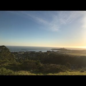 Meet your Posher, Alfredo